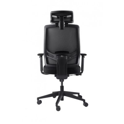    GT Chair InFlex Z