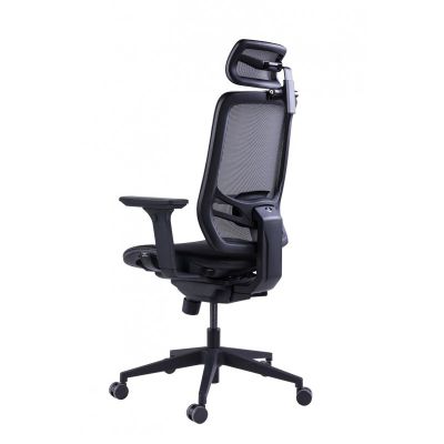    GT Chair InFlex M