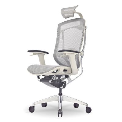    GT Chair Isee X