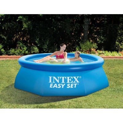  24476  Intex Easy Set 28110