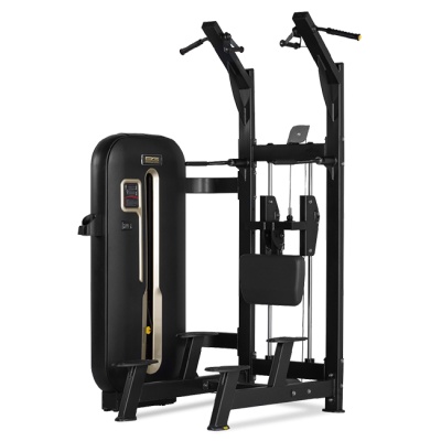 /   Bronze Gym S7-008