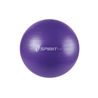   65  Spirit Fitness M-02