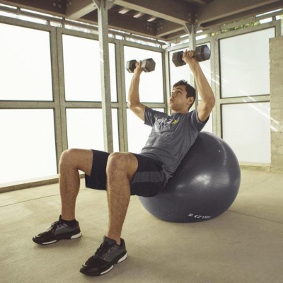      SKLZ Pro Stability Ball