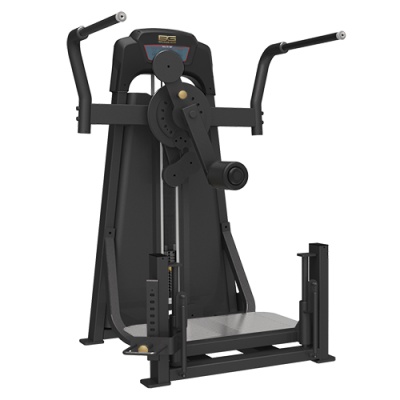 /   Bronze Gym LD-9011
