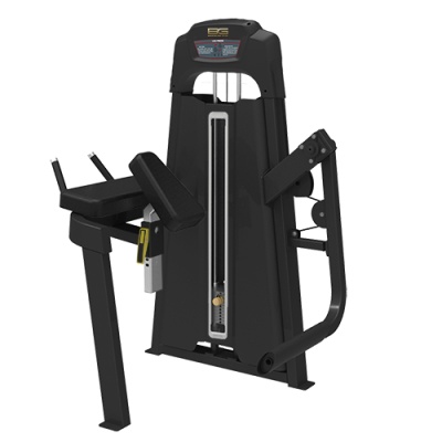     Bronze Gym LD-9024