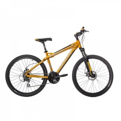  FORWARD QUADRO 818 "19