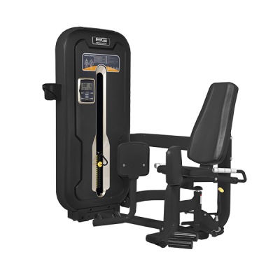      Bronze Gym MZM-018