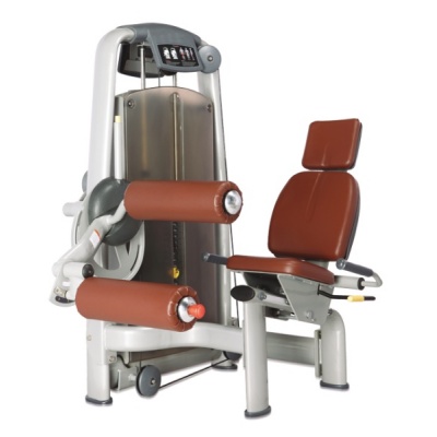      BRONZE GYM A9-013