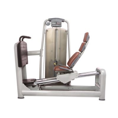     BRONZE GYM A9-015