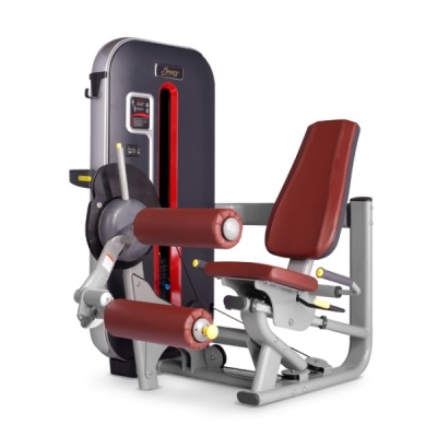      BRONZE GYM MT-013