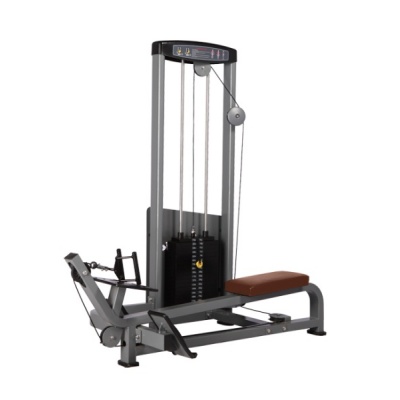     BRONZE GYM D-012A