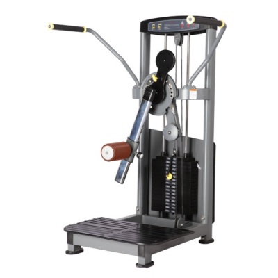   -   BRONZE GYM D-016