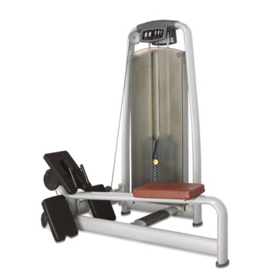     BRONZE GYM A9-012A