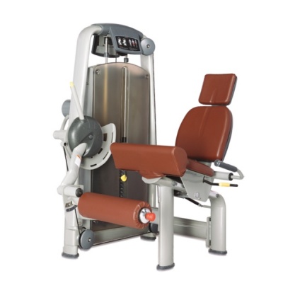      BRONZE GYM A9-014