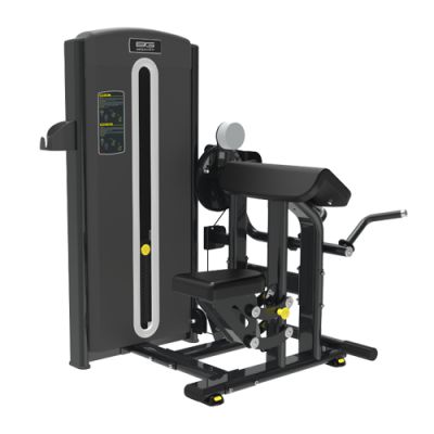 /  Bronze Gym M5-06/07 DUAL