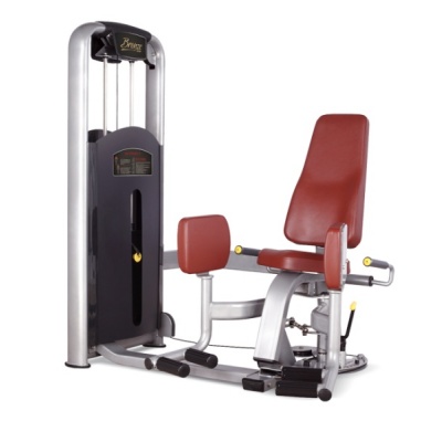      BRONZE GYM MV-019