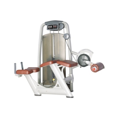      BRONZE GYM A9-013A