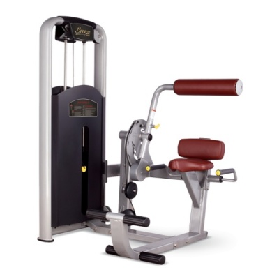     BRONZE GYM MV-009