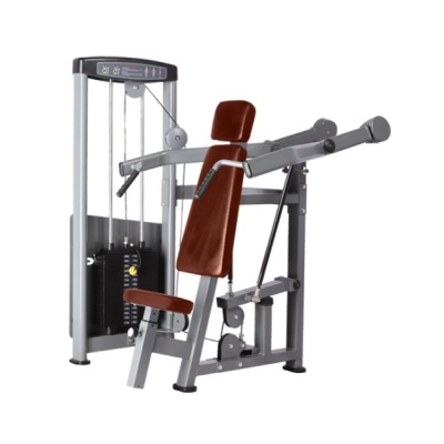      BRONZE GYM D-003