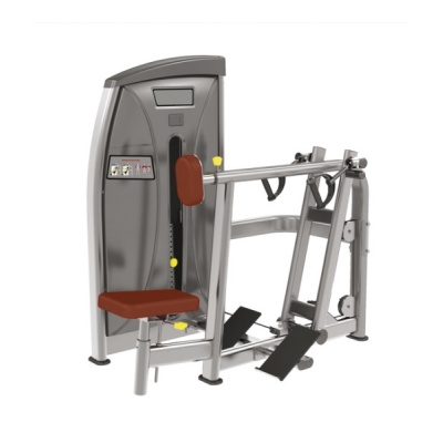     BRONZE GYM E-004