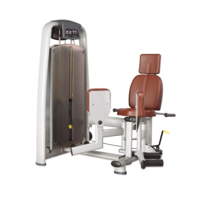      BRONZE GYM A9-018