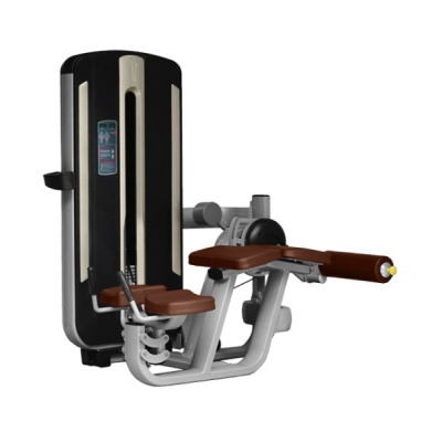      Bronze Gym MNM-013A