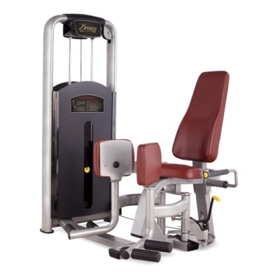      BRONZE GYM MV-018