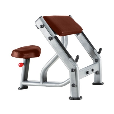  BRONZE GYM J-040