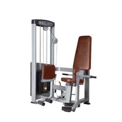      BRONZE GYM D-019