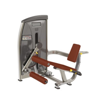      BRONZE GYM E-013