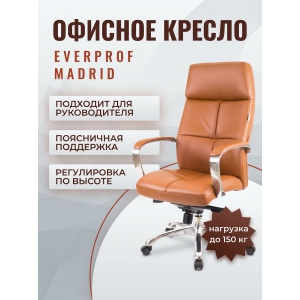 ������ ������������ Everprof Madrid �������