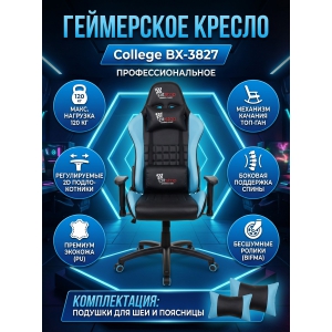 ���������� ������ College BX-3827