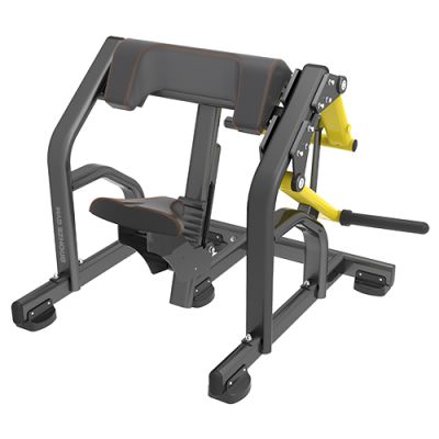 - Bronze Gym PL-1713