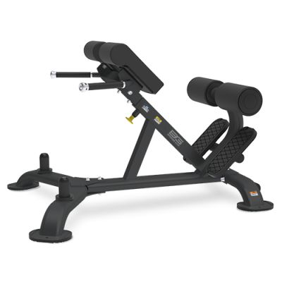    Bronze Gym BR-1010
