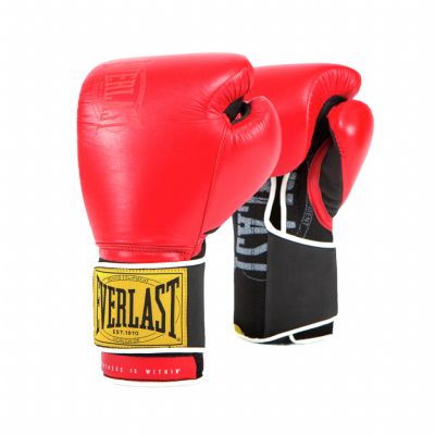   Everlast 1910 Classic 16oz 