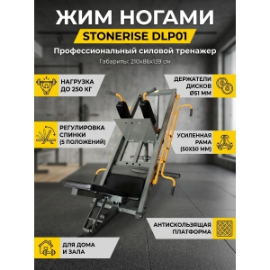 ��� ������ Stonerise DLP01