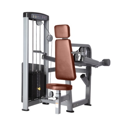 - BRONZE GYM D-007