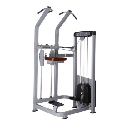     Bronze Gym D-008