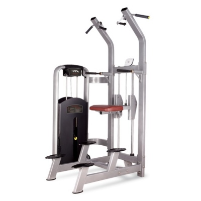     Bronze Gym MV-008