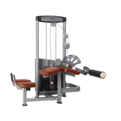     Bronze Gym D-013A