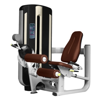     Bronze Gym MNM-013
