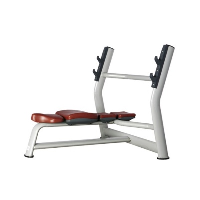   BRONZE GYM H-023