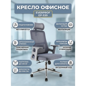 ������ ������� Everprof EP-530 �����