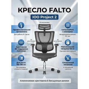 ������ Falto IOO Project 2