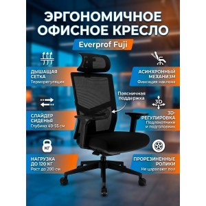 ������������ ������ Everprof Fuji �����