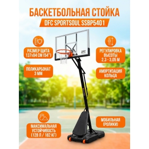 ������������� ��������� ������ DFC SPORTSOUL SSBP5401