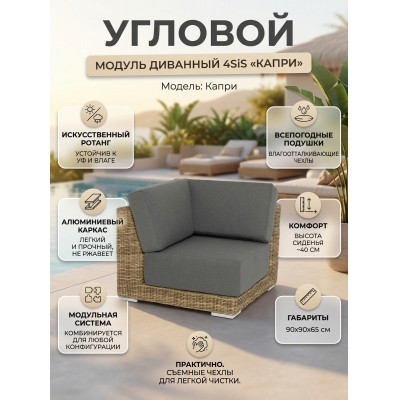 ������ �������� 4SIS "�����" �������, � ���������, ������ ����������