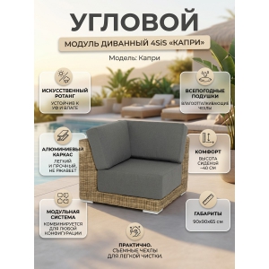 ������ �������� 4SIS "�����" �������, � ���������, ������ ����������