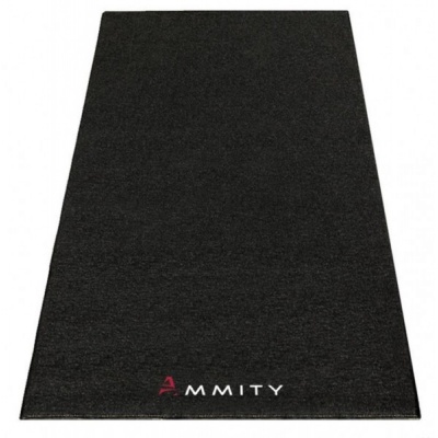    Ammity 1300