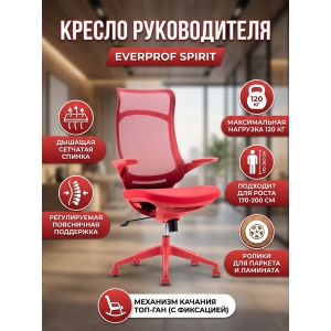 ������ ������������ Everprof Spirit �����, �������